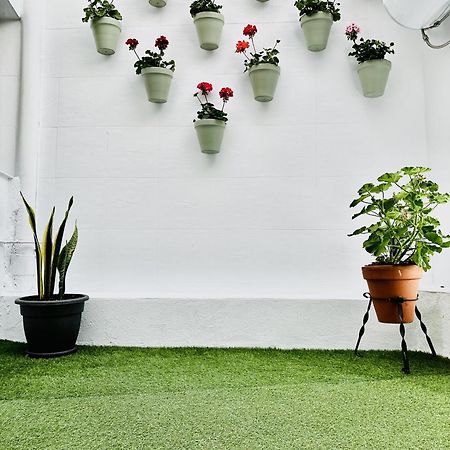 Blue & Green Apartment กอร์โดบา ภายนอก รูปภาพ